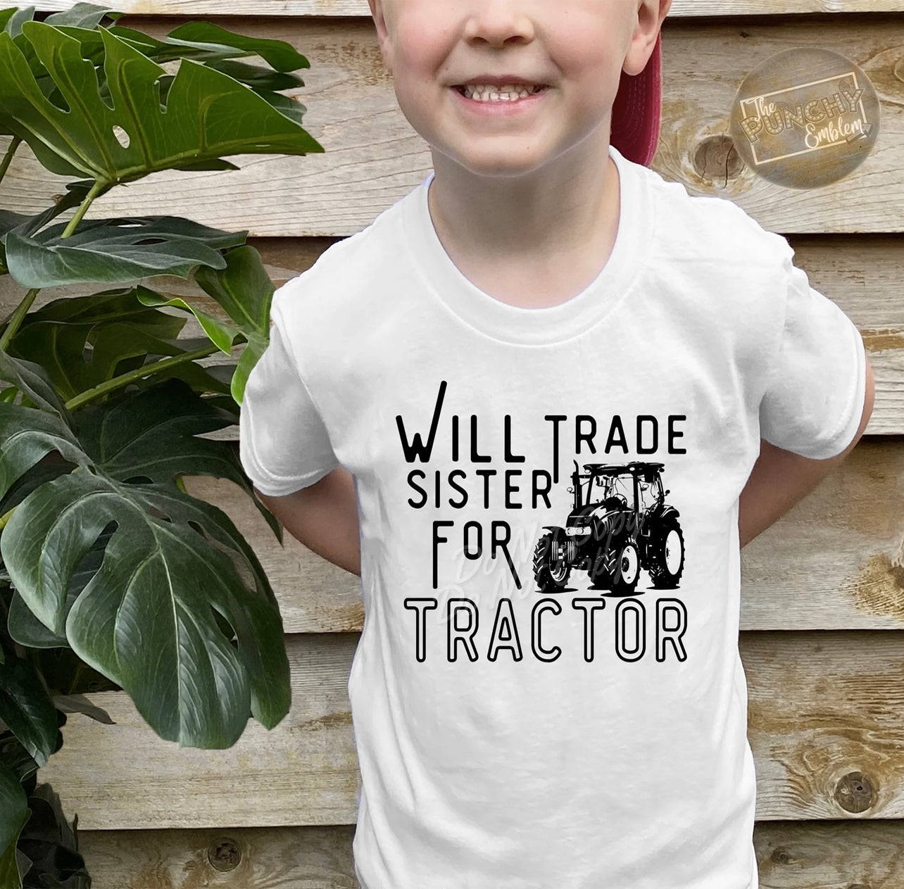 Will Trade Sister